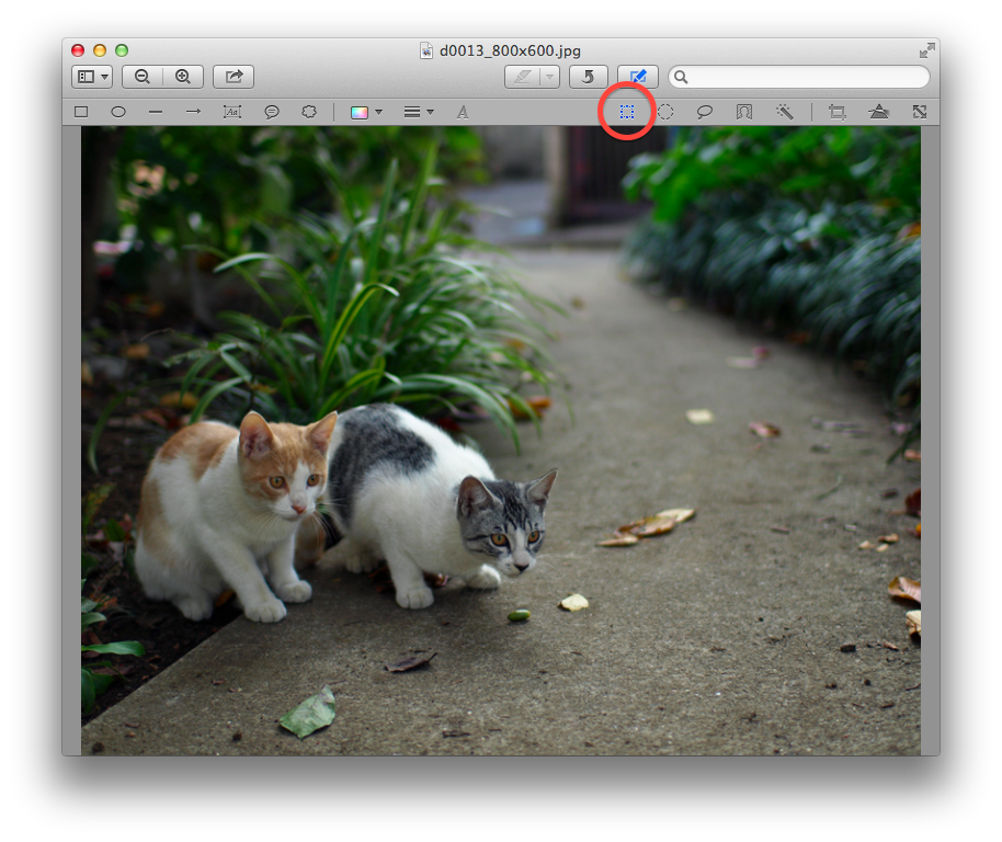 Macのプレビューで写真をトリミング 切り抜き する方法 Mac初心者のためのmac使い方動画講座