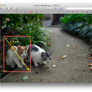 プレビュー 図形描写の画像
